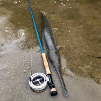 Image 5 of Matlacha Minnow 
