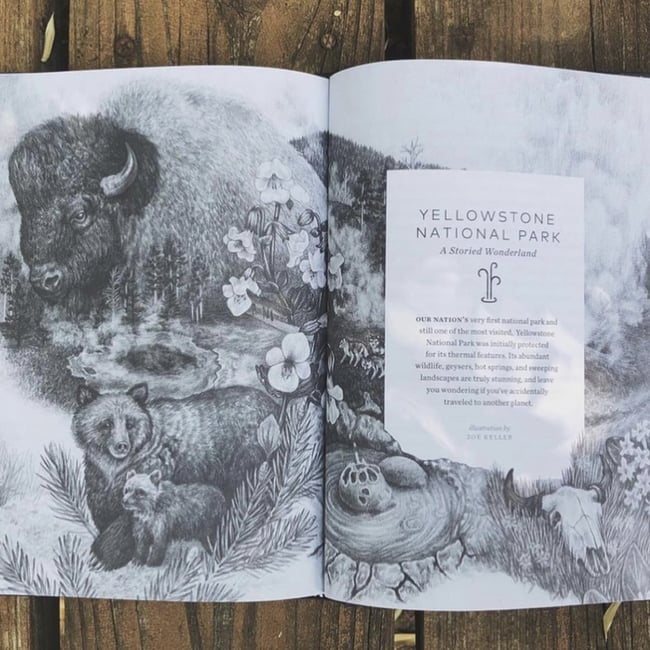 Campfire Stories Hardcover Book