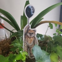 Image 3 of UP with Wicket