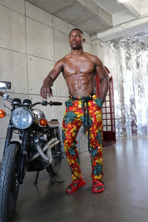 Image of The kendu pants - fall