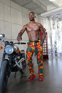 Image 3 of The kendu pants - fall