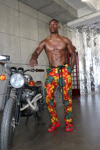 Image 4 of The kendu pants - fall