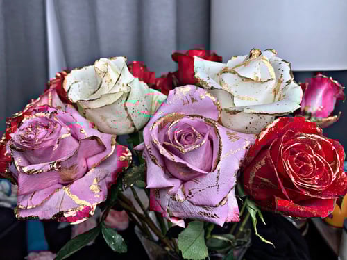 Image of The Ultimate Rose Collection