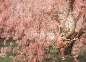 Image of A Springtime Fairytale Digital Background Collection