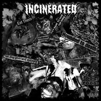 Image 2 of Deterioration / Incinerated Split 7"