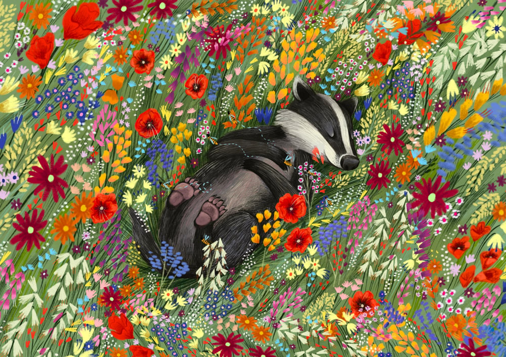 Image of Sleepy Badger 