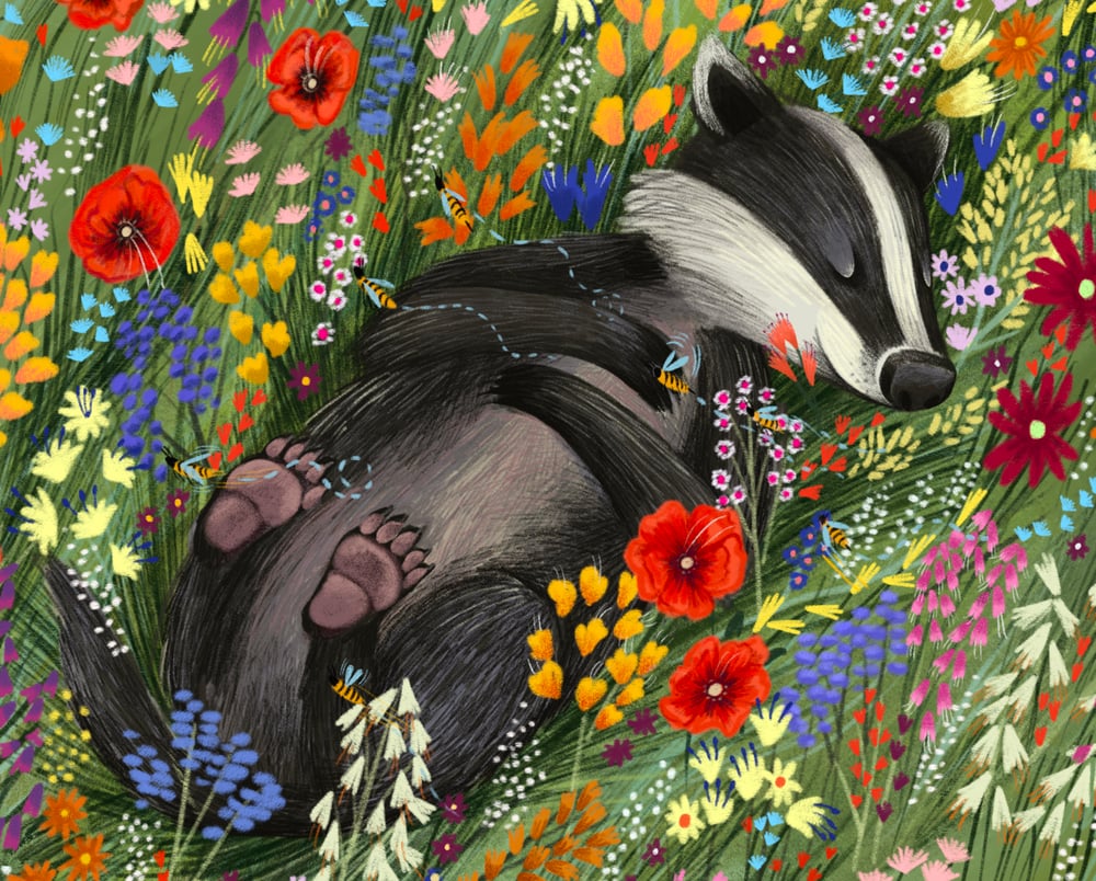 Image of Sleepy Badger 