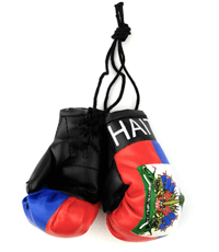 Image 1 of Car Mirror Mini Haiti Boxing Gloves 
