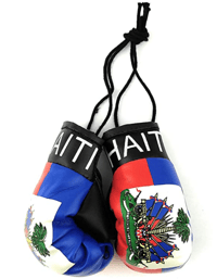 Image 2 of Car Mirror Mini Haiti Boxing Gloves 