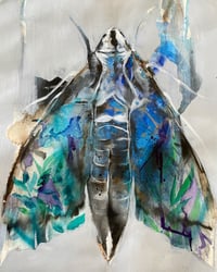 Image 1 of Moth Study on paper