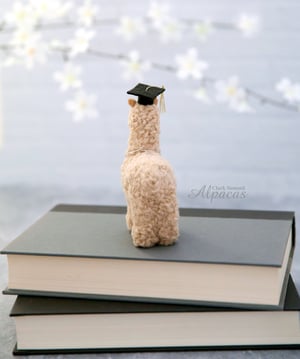 Alpaca Graduate Mini Llama - Graduation Gift- Real Fiber - Commencement Decor