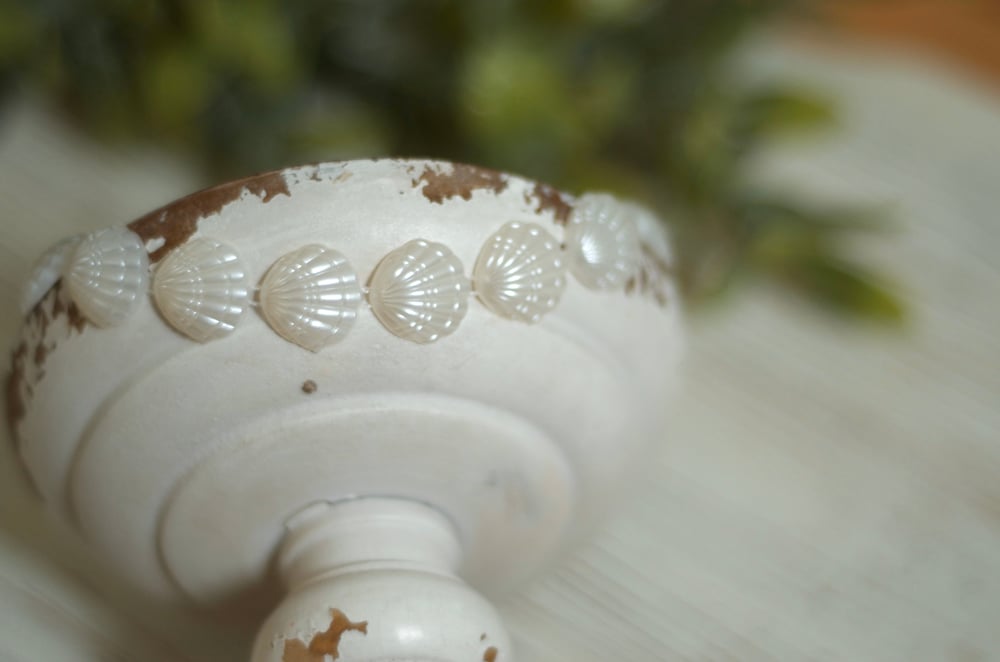 Image of Shells, pearls, roses and more 