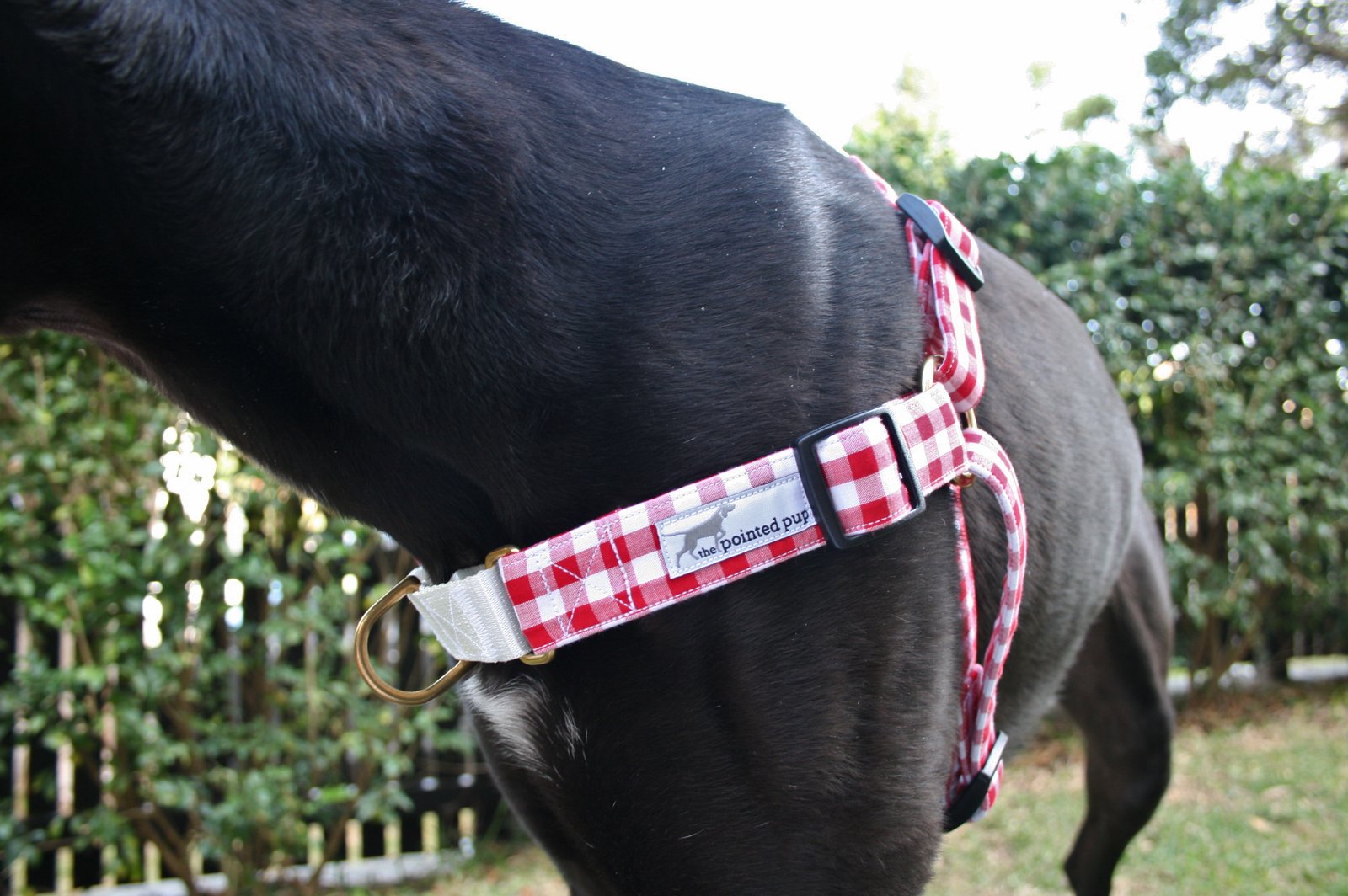 bespoke dog harness