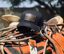 Image 3 of The Longhorn - Black