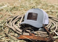 Image 2 of The Longhorn - Grey