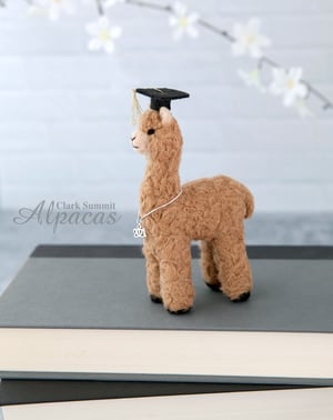 Little Llama Alpaca Graduate - Unique Grad Gift - Real Fiber - Includes Cap and Charm - Keepsake