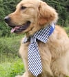 Up to 50% off Handmade-Pet Tie with FREE collar (click to see other designs) | Ties | Wedding | Groo