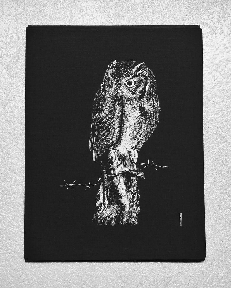 Image of »Little Owl« Back Patch