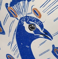 Image 4 of Peacock
