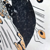 Image 5 of Peacock