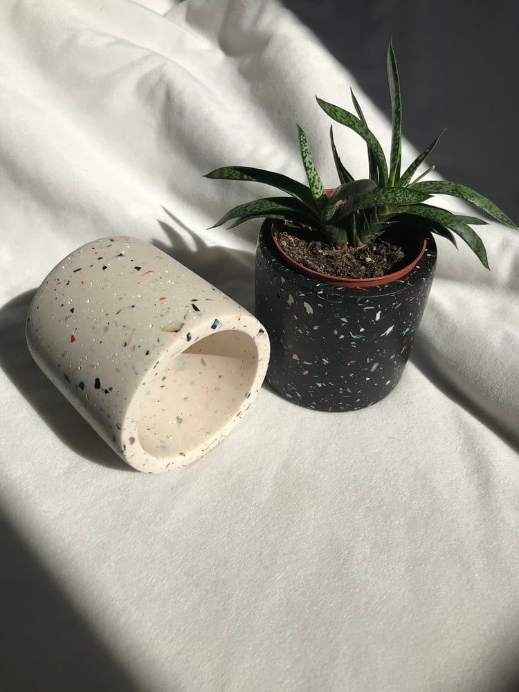 Image of Medium Terrazzo Zero Waste Round Planters