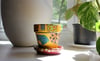 ziggy - small terracotta pot 
