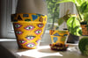 ziggy - small terracotta pot 