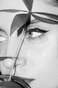 Image 3 of Bela Borsodi - Phytophile