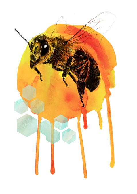 Image of Honey bee watercolour golden