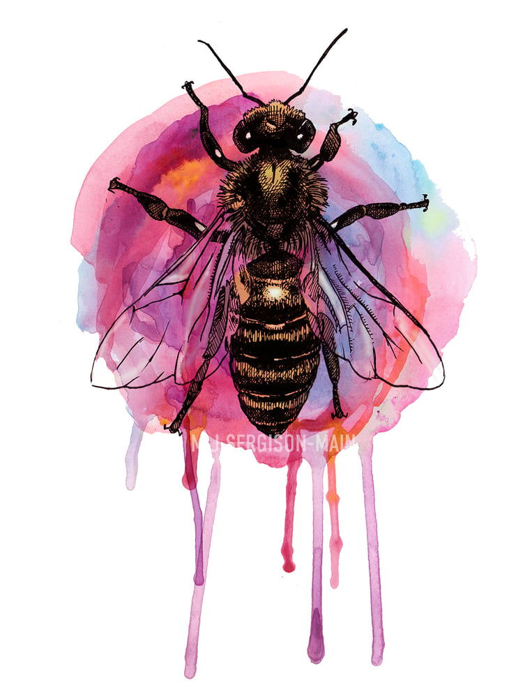 Image of Honeybee watercolour pinks - a3 high quality art print