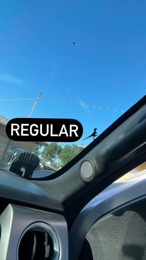 Image of Velociraptor (x2 decals) 