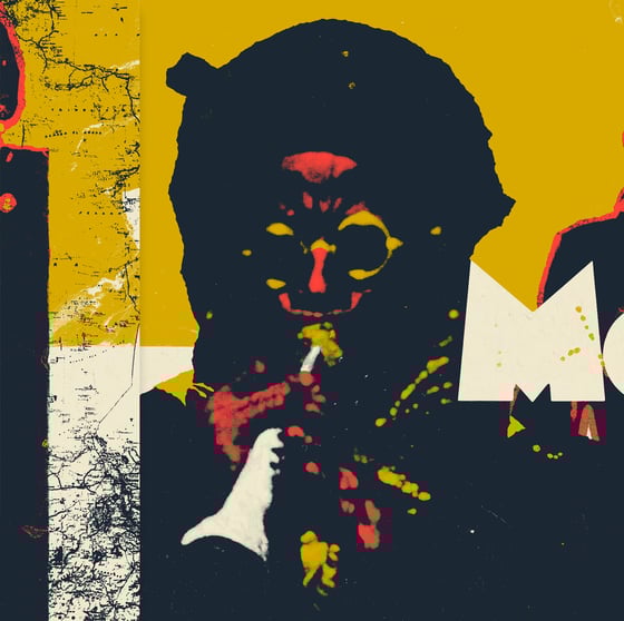 Image of BARNEY WILEN - MOSHI ART EDITION 2LP + 7" + DVD + OUTER SLEEVE (FFL015-ART)