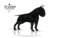 Image 4 of The Guardian® - Black Falcon Edition XS 