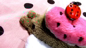 abba the portable friend bug