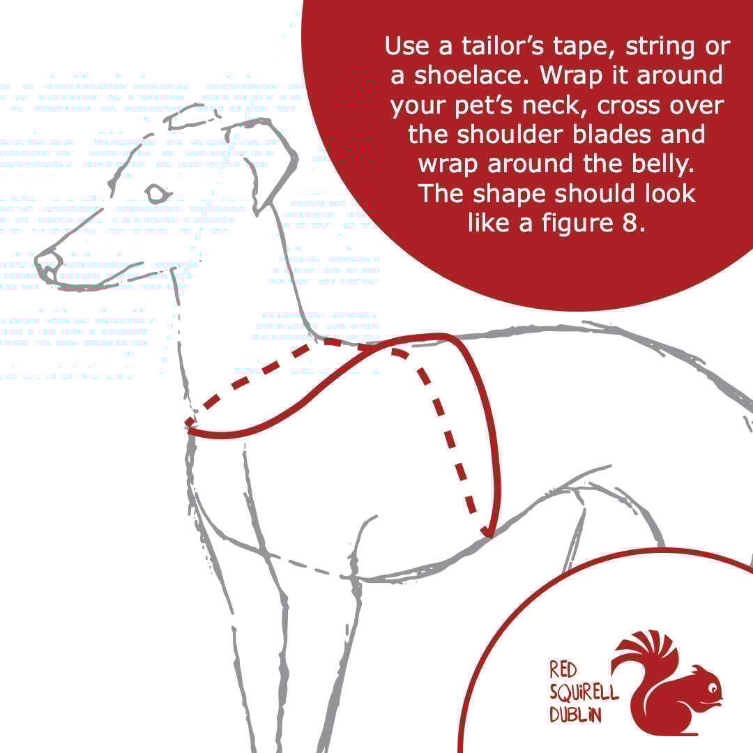 Figure harness Red Squirrel Dublin - Main Image