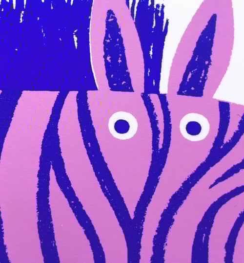 Image of ZEBRA, David Penela