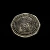 Dinosaucer Octagon Coin