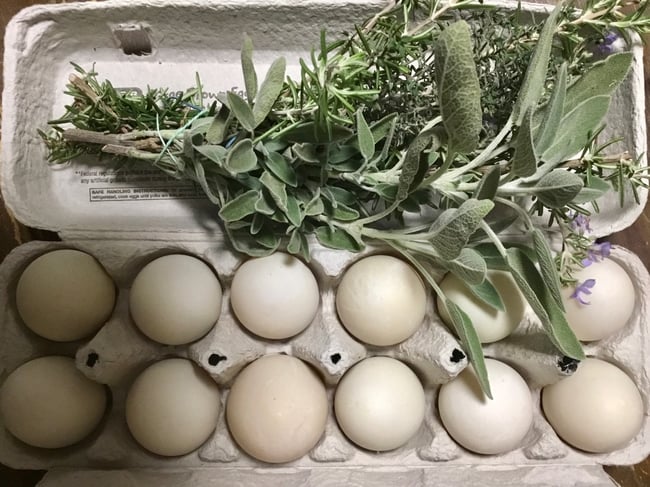Duck Eggs