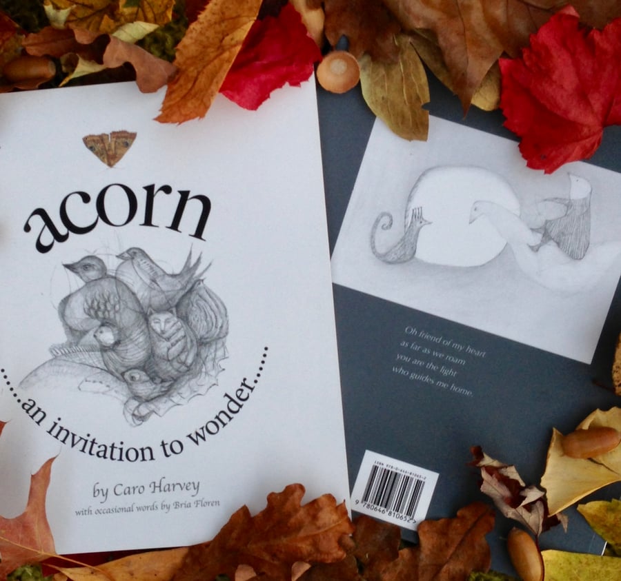 Image of book ~ 'acorn'