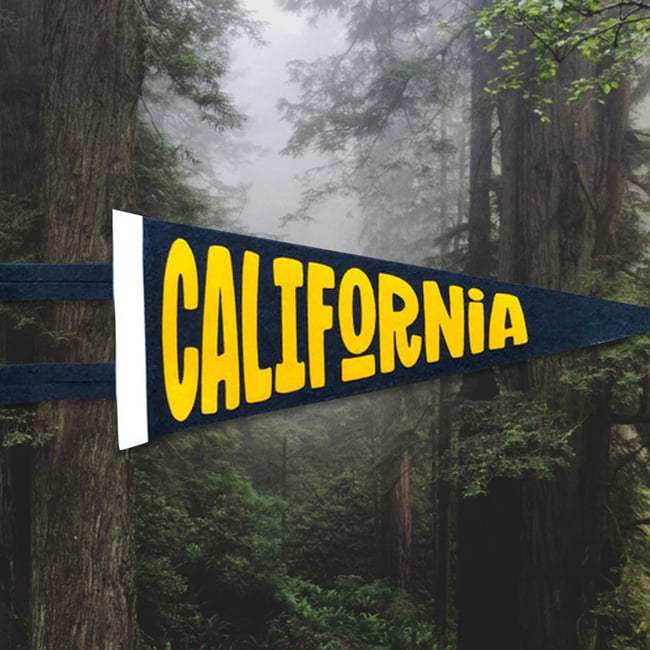 California 9x27 Pennant