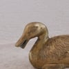 Canard en laiton