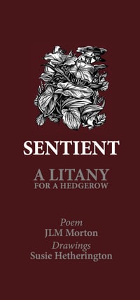 Sentient: a litany for a hedgerow 