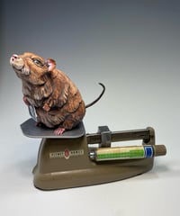 Image 2 of Junk Mail - Deana Bada Maloney
