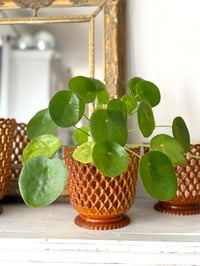 Image 4 of Cache-pot Syla années 60