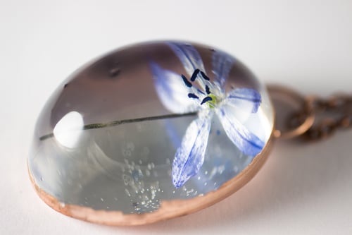 Image of Wood Squill (Scilla siberica) - Copper Plated Necklace #4