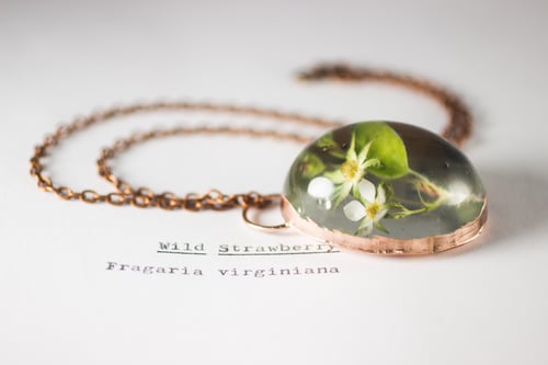 Image of Wild Strawberry (Fragaria virginiana) - Copper Plated Necklace #2