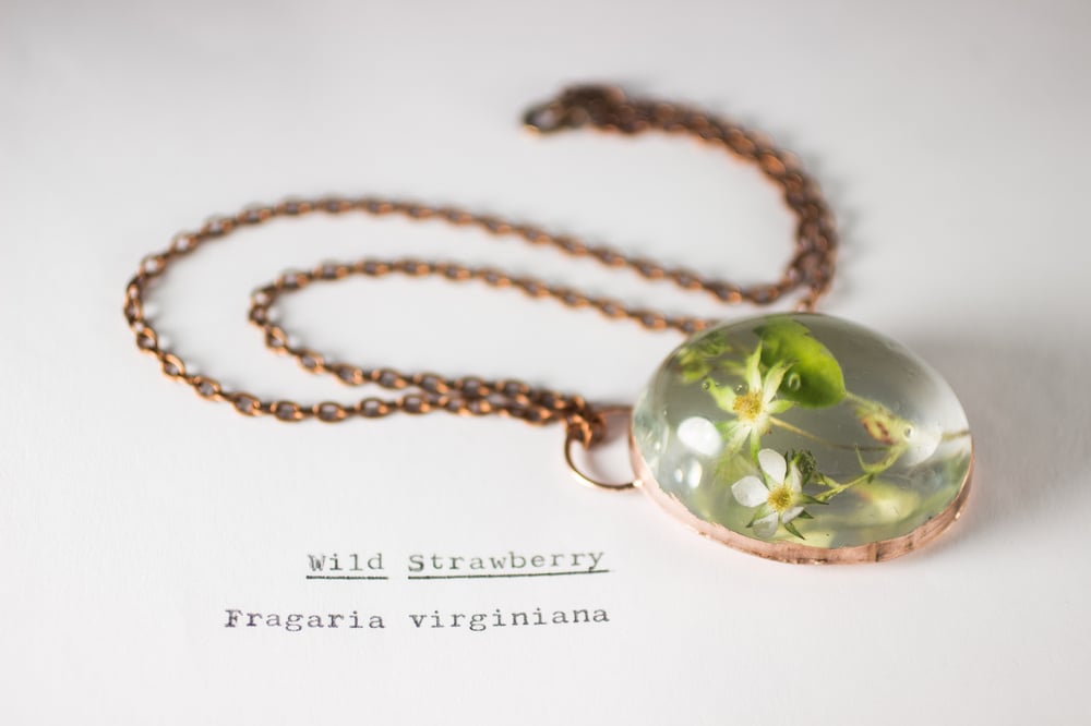 Image of Wild Strawberry (Fragaria virginiana) - Copper Plated Necklace #2