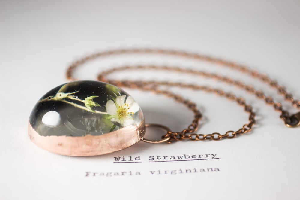 Image of Wild Strawberry (Fragaria virginiana) - Copper Plated Necklace #4