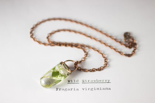 Image of Wild Strawberry (Fragaria virginiana) - Small Electroform Copper #1