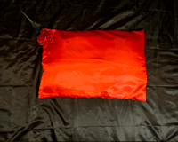 Image 2 of Satin Pillowcase